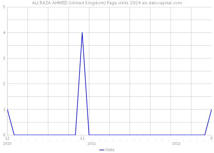 ALI RAZA AHMED (United Kingdom) Page visits 2024 