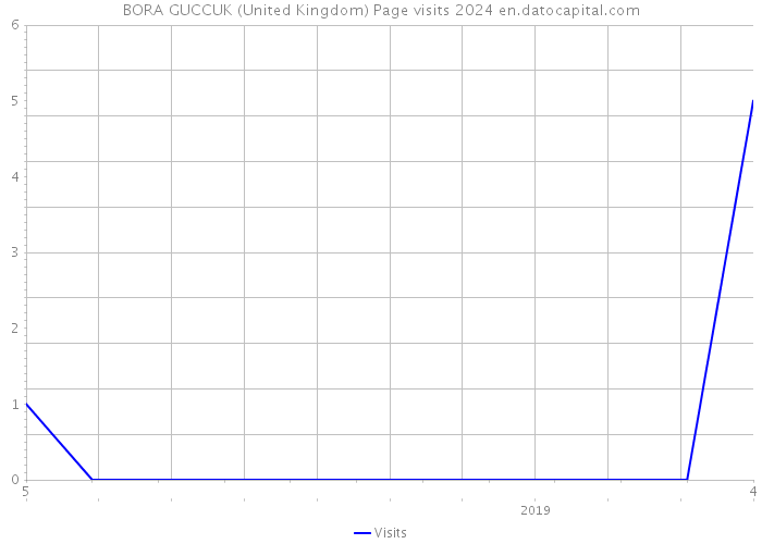 BORA GUCCUK (United Kingdom) Page visits 2024 