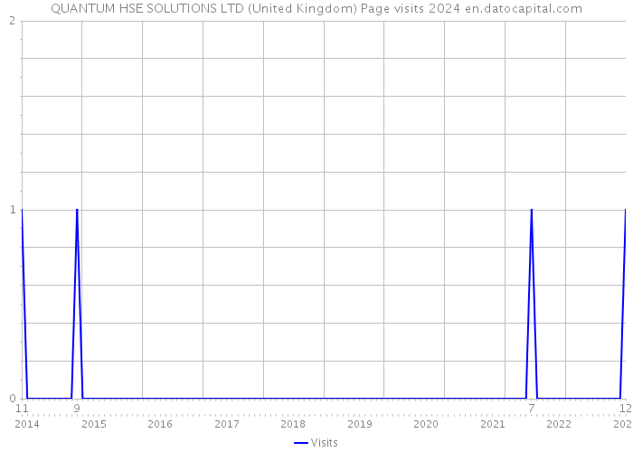 QUANTUM HSE SOLUTIONS LTD (United Kingdom) Page visits 2024 