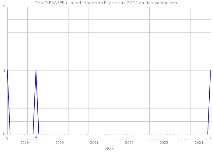 DAVID BRAZER (United Kingdom) Page visits 2024 