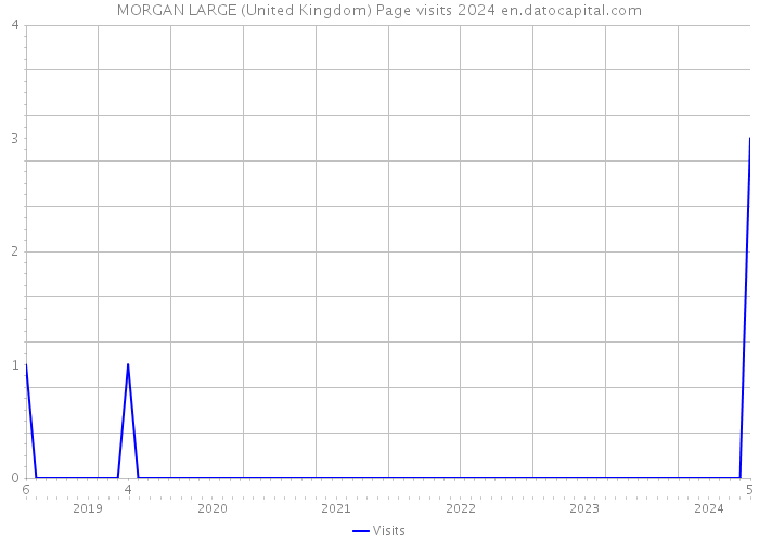 MORGAN LARGE (United Kingdom) Page visits 2024 