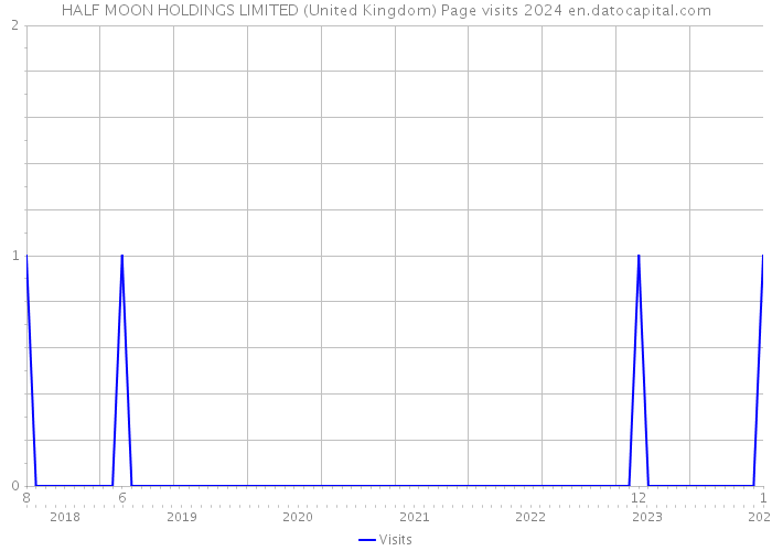 HALF MOON HOLDINGS LIMITED (United Kingdom) Page visits 2024 