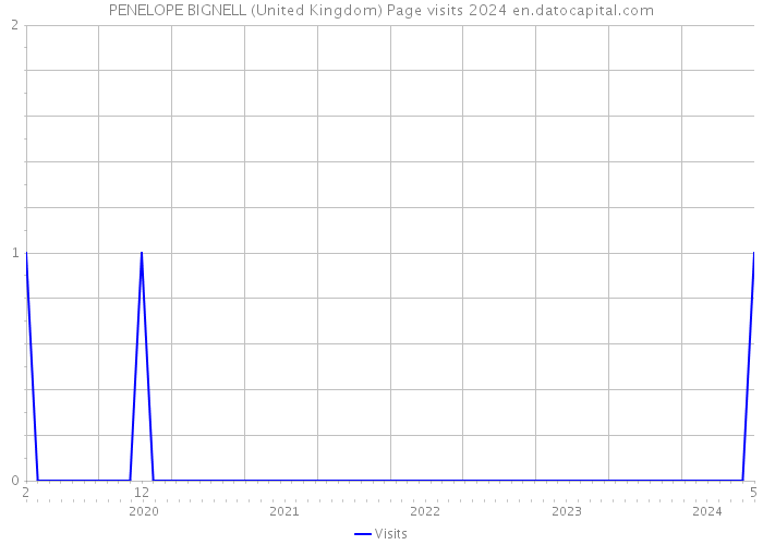 PENELOPE BIGNELL (United Kingdom) Page visits 2024 