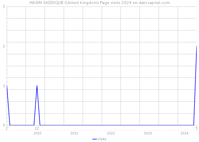 HASIM SADDIQUE (United Kingdom) Page visits 2024 