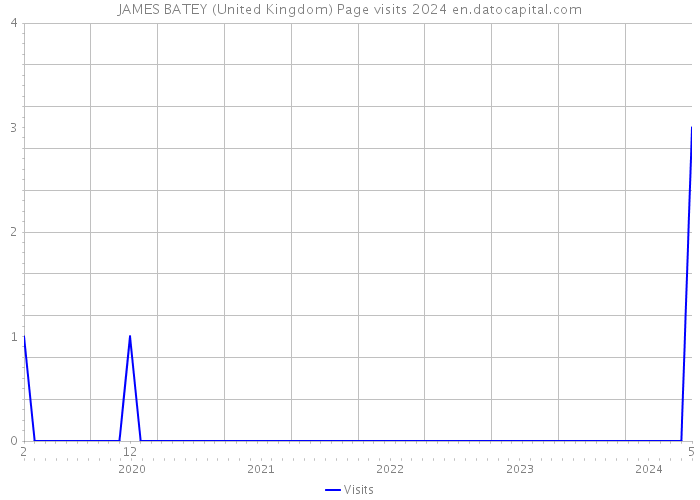 JAMES BATEY (United Kingdom) Page visits 2024 