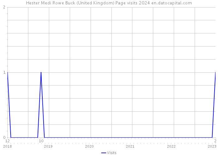 Hester Medi Rowe Buck (United Kingdom) Page visits 2024 