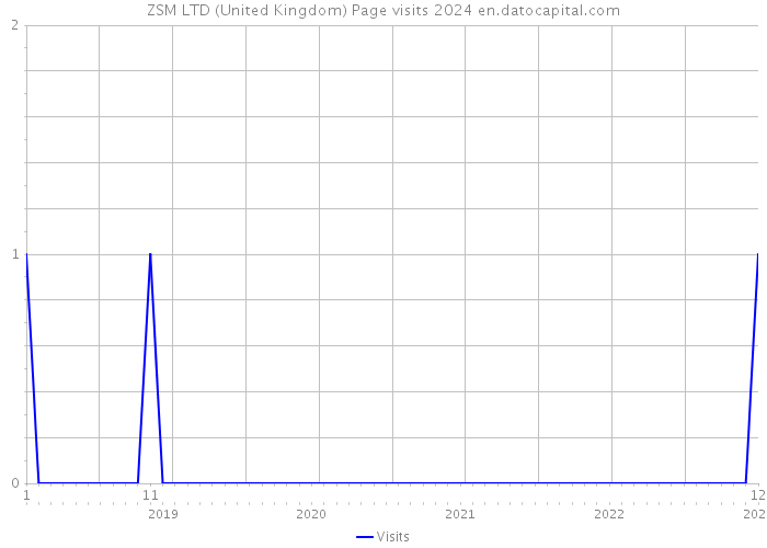 ZSM LTD (United Kingdom) Page visits 2024 