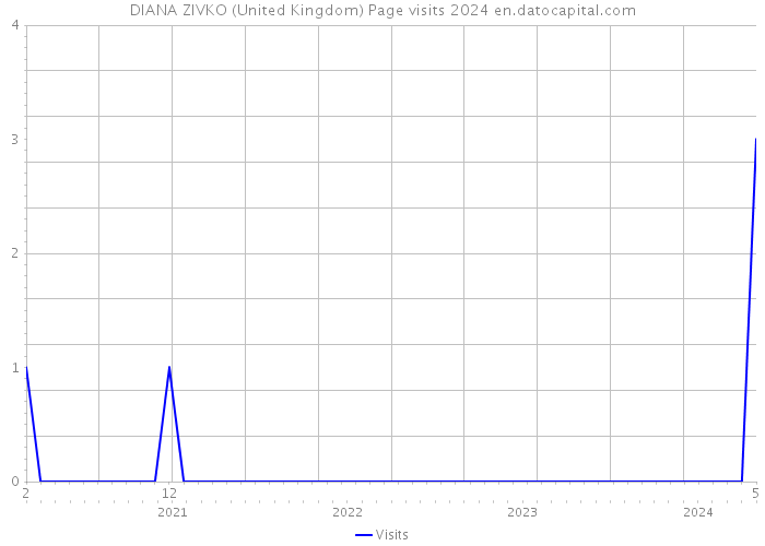 DIANA ZIVKO (United Kingdom) Page visits 2024 