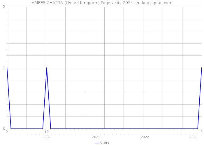 AMEER CHAPRA (United Kingdom) Page visits 2024 