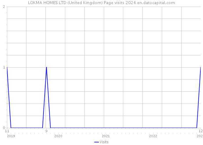 LOKMA HOMES LTD (United Kingdom) Page visits 2024 