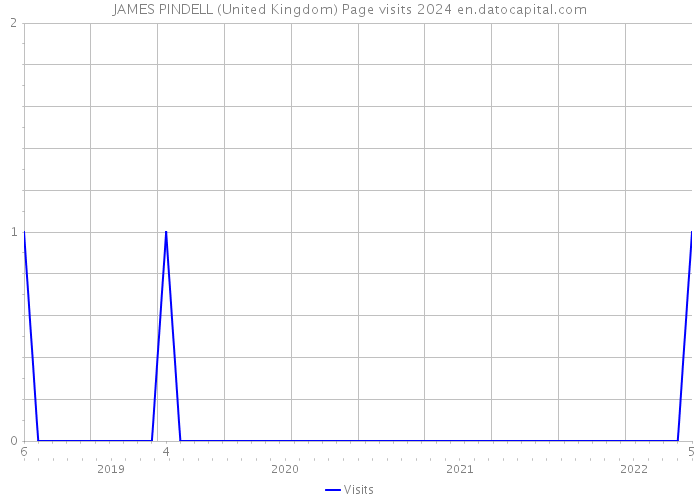 JAMES PINDELL (United Kingdom) Page visits 2024 