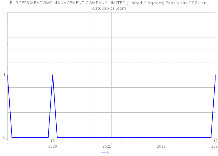 BURGESS MEADOWS MANAGEMENT COMPANY LIMITED (United Kingdom) Page visits 2024 