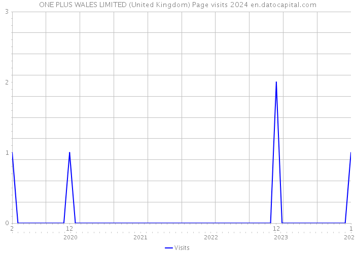 ONE PLUS WALES LIMITED (United Kingdom) Page visits 2024 