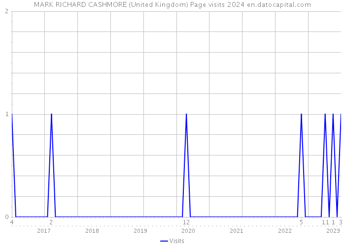 MARK RICHARD CASHMORE (United Kingdom) Page visits 2024 