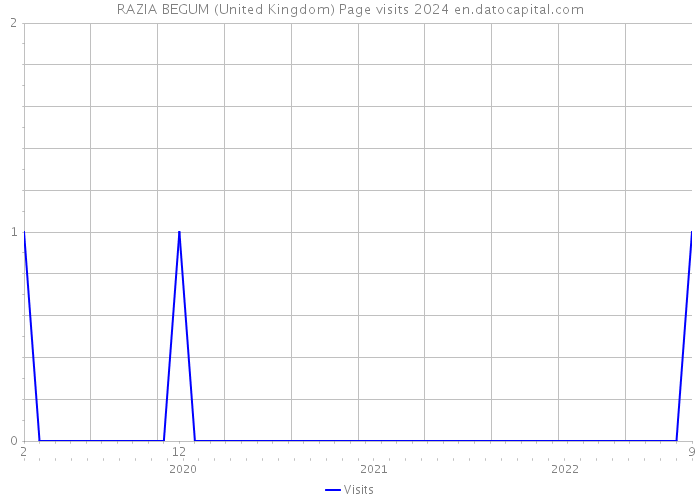RAZIA BEGUM (United Kingdom) Page visits 2024 
