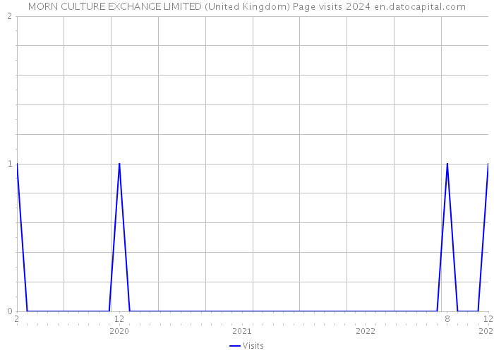 MORN CULTURE EXCHANGE LIMITED (United Kingdom) Page visits 2024 