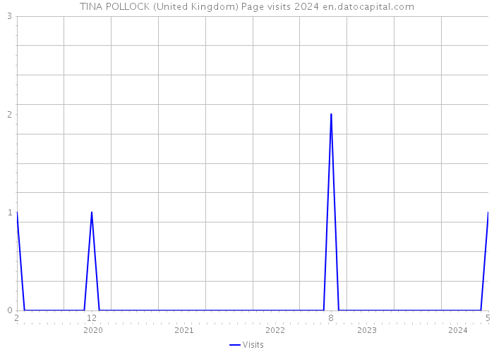 TINA POLLOCK (United Kingdom) Page visits 2024 