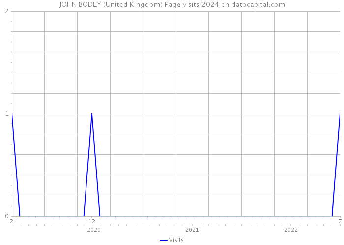 JOHN BODEY (United Kingdom) Page visits 2024 