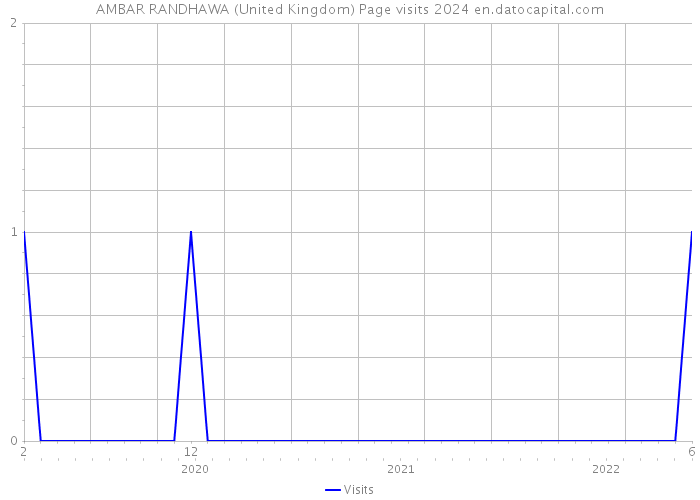 AMBAR RANDHAWA (United Kingdom) Page visits 2024 