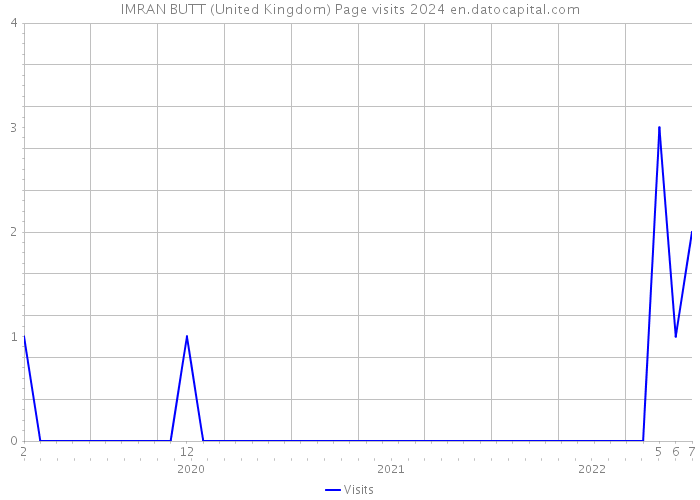 IMRAN BUTT (United Kingdom) Page visits 2024 