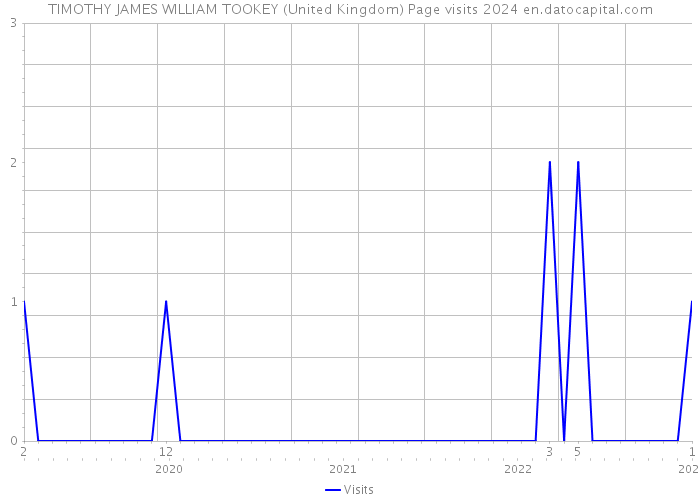 TIMOTHY JAMES WILLIAM TOOKEY (United Kingdom) Page visits 2024 