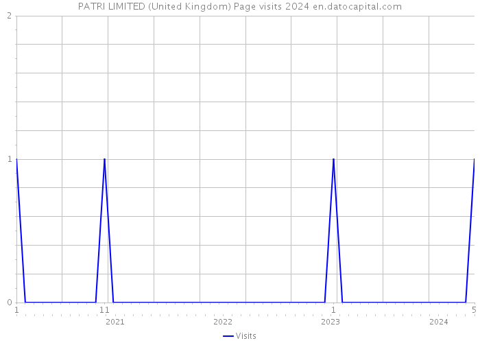 PATRI LIMITED (United Kingdom) Page visits 2024 
