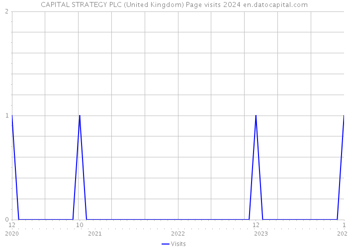 CAPITAL STRATEGY PLC (United Kingdom) Page visits 2024 