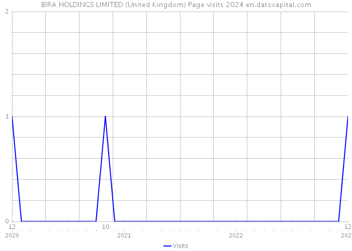 BIRA HOLDINGS LIMITED (United Kingdom) Page visits 2024 