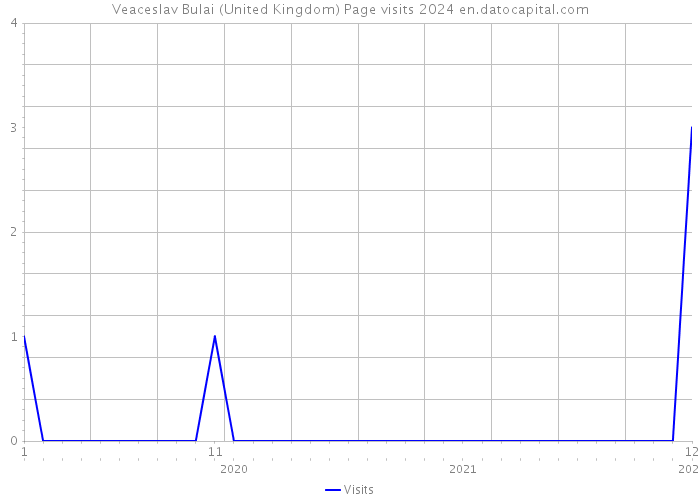 Veaceslav Bulai (United Kingdom) Page visits 2024 