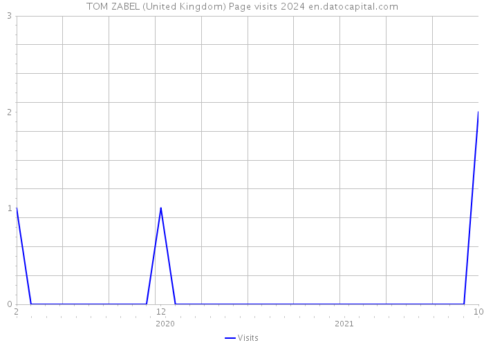 TOM ZABEL (United Kingdom) Page visits 2024 