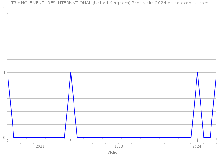 TRIANGLE VENTURES INTERNATIONAL (United Kingdom) Page visits 2024 