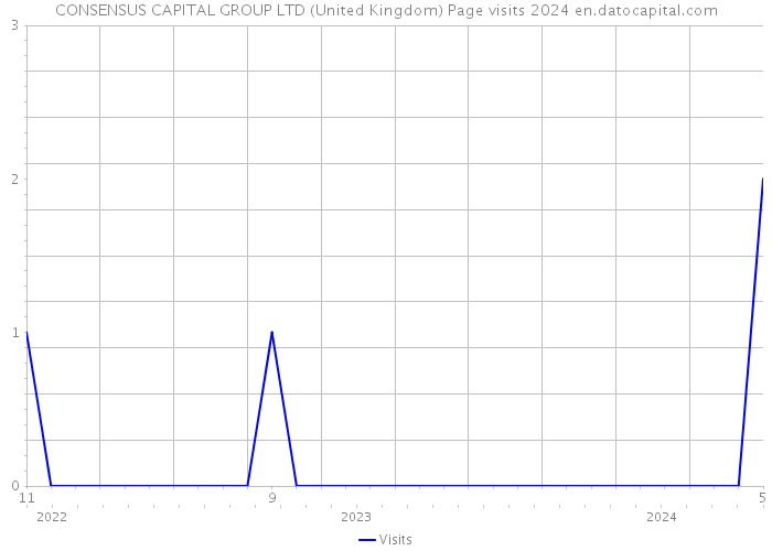 CONSENSUS CAPITAL GROUP LTD (United Kingdom) Page visits 2024 