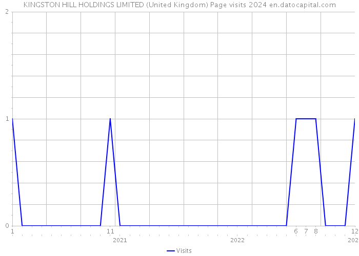 KINGSTON HILL HOLDINGS LIMITED (United Kingdom) Page visits 2024 