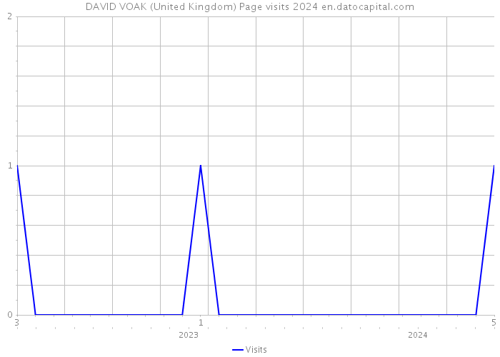 DAVID VOAK (United Kingdom) Page visits 2024 