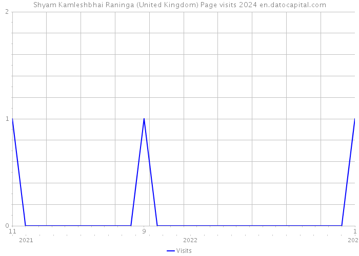 Shyam Kamleshbhai Raninga (United Kingdom) Page visits 2024 