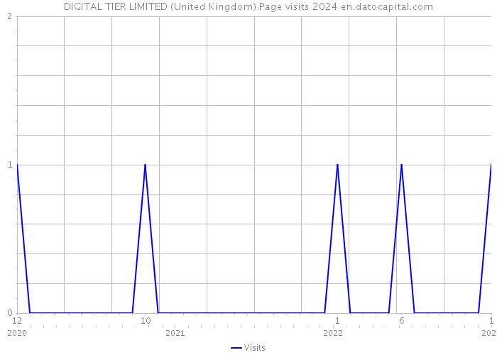 DIGITAL TIER LIMITED (United Kingdom) Page visits 2024 