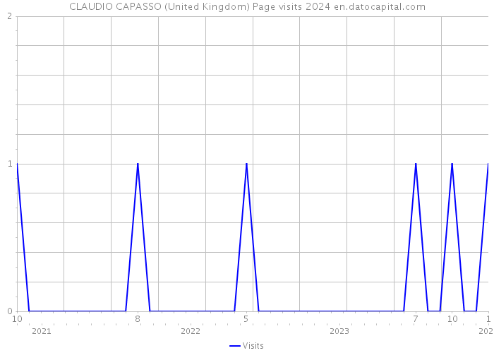 CLAUDIO CAPASSO (United Kingdom) Page visits 2024 