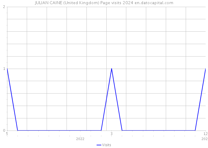 JULIAN CAINE (United Kingdom) Page visits 2024 