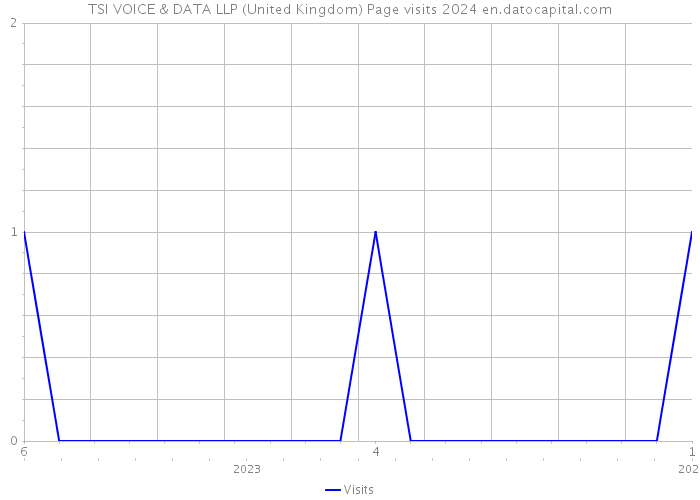 TSI VOICE & DATA LLP (United Kingdom) Page visits 2024 