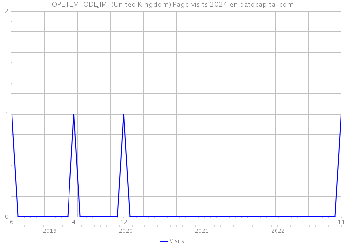 OPETEMI ODEJIMI (United Kingdom) Page visits 2024 
