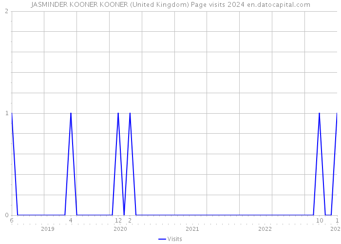 JASMINDER KOONER KOONER (United Kingdom) Page visits 2024 
