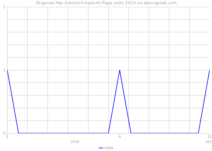 Zbigniew Has (United Kingdom) Page visits 2024 