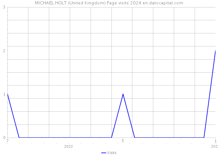 MICHAEL HOLT (United Kingdom) Page visits 2024 