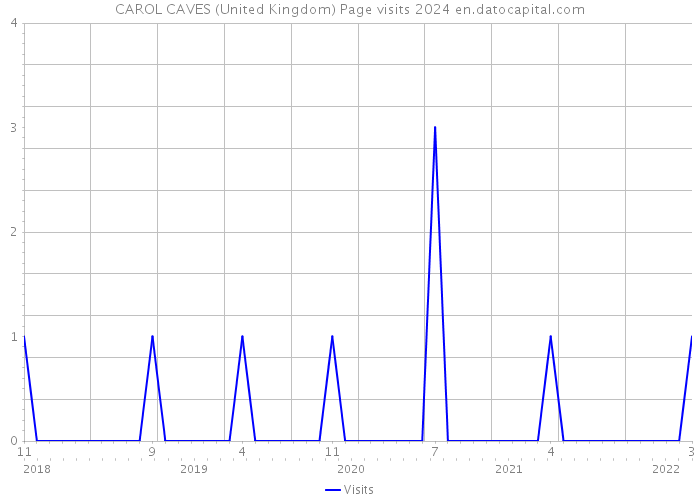 CAROL CAVES (United Kingdom) Page visits 2024 