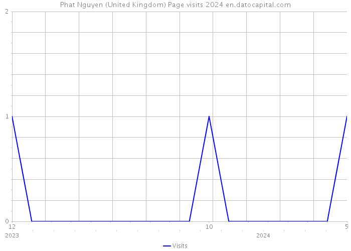 Phat Nguyen (United Kingdom) Page visits 2024 