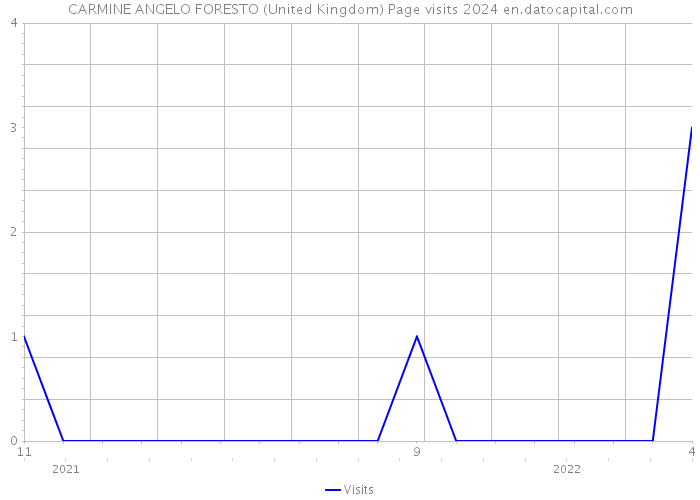 CARMINE ANGELO FORESTO (United Kingdom) Page visits 2024 