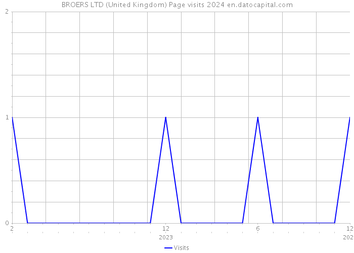 BROERS LTD (United Kingdom) Page visits 2024 