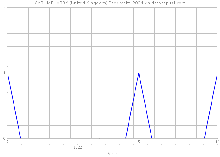 CARL MEHARRY (United Kingdom) Page visits 2024 