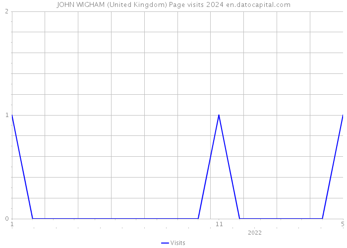 JOHN WIGHAM (United Kingdom) Page visits 2024 