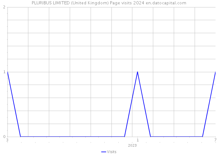 PLURIBUS LIMITED (United Kingdom) Page visits 2024 